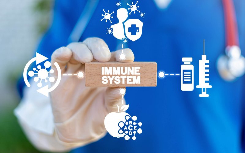 Doctor hold wooden block with immune system words. Immune human system health concept. Immunity medical cure.