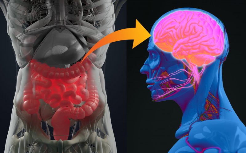 The gut-brain connection is real